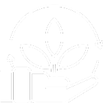 Design sem nome (4)